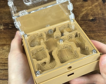 Ant farm "Architect" Natural organic nest design