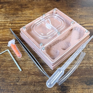 Ant farm &quot;Eco&quot; Natural organic nest design