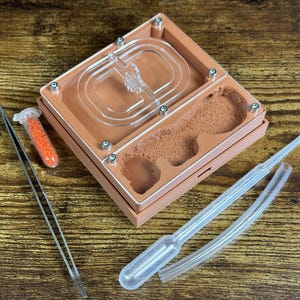 Mierenboerderij &quot;Eco&quot; Natuurlijk organisch nestontwerp