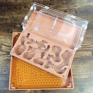 Ant farm &quot; &quot;Easy Start PLUS&quot;  Natural organic nest design