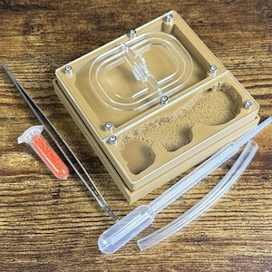 Ant farm &quot;Eco&quot;  Natural organic nest design