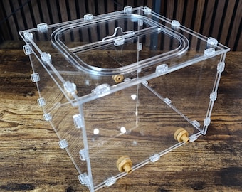 Large Arena for Ant Farms – Acrylic Outworld 20 x 20 x 15 cm (7.9 x 7.9 x 5.9 in) Formicarium Expansion