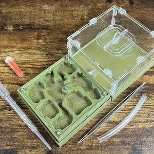 Ant farm &quot;Architect&quot; Natural organic nest design
