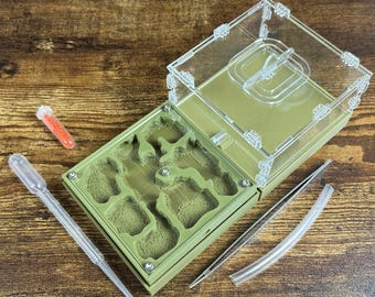 Ant farm "Architect" Natural organic nest design