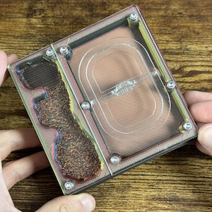 Ant farm &quot;Eco&quot;