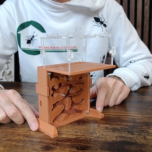 Ant farm &quot;Hill&quot; Vertical formicarium