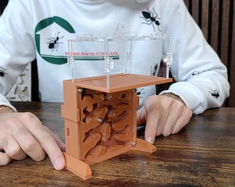 Ant farm "Hill" Vertical formicarium