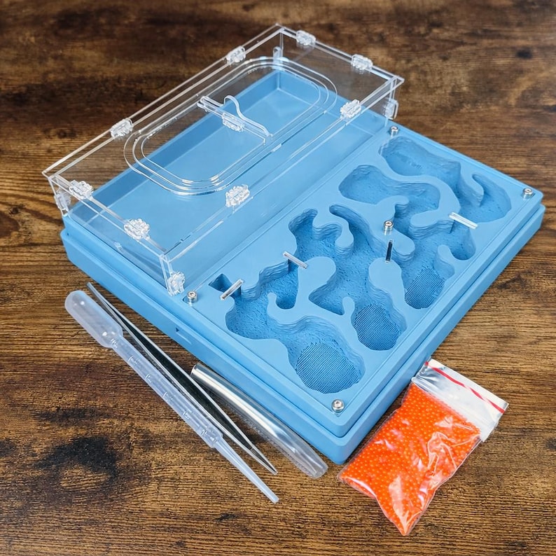 Ant farm " "Easy Start PLUS"  Natural organic nest design. Limited Edition: Pastel Matte Series