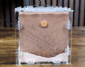 Ant Farm, Natural Sand–Clay Formicarium "Cube in a Cube"