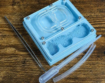 Ant farm "Eco"  Natural organic nest design