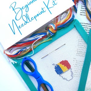 STARTER NEEDLEPOINT KIT Snow Cone | Hand Painted Canvas, Threads, Supplies, Instructions | Beginner Stitcher | Simple Easy diy Project 13m