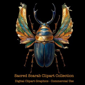 Collezione di clipart di scarabeo - 12 immagini PNG digitali per progetti di sublimazione e design - Download immediato
