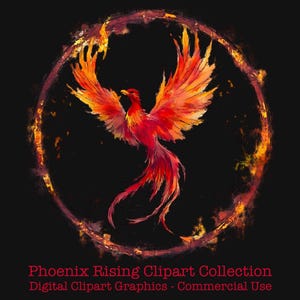 Bundle de cliparts numériques Phoenix Rising - 16 images PNG avec arrière-plans transparents pour sublimation et conception numérique