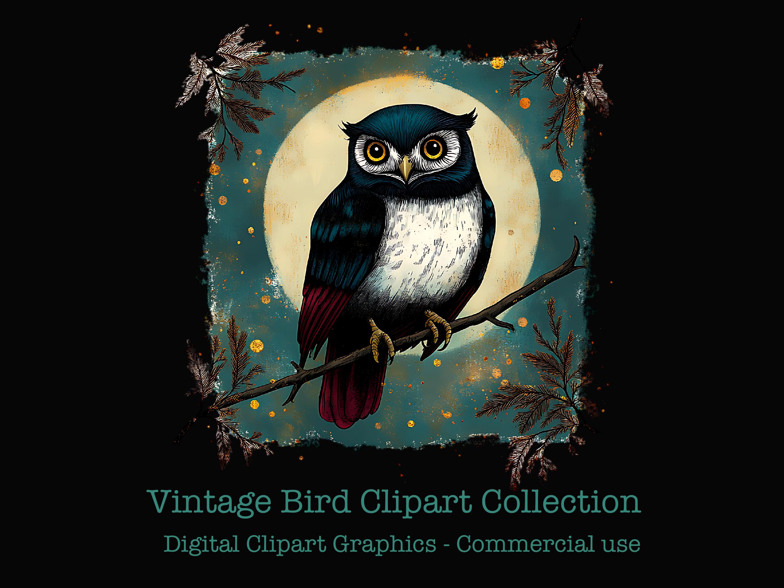 Vintage Bird Clipart Collection - Owl, Cardinal, Magpie, Barn Swallow - PNG Art for Sublimation Proj
