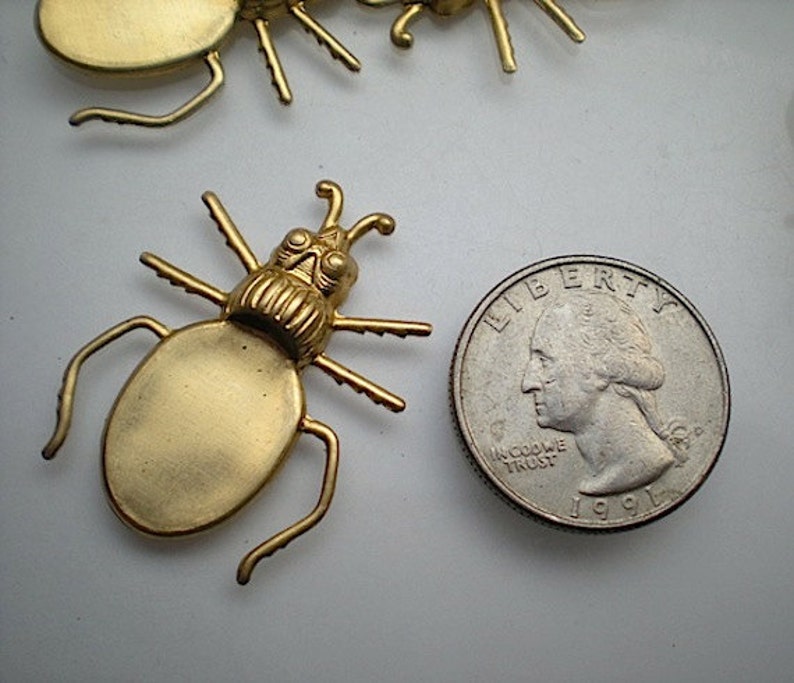 No 2 6 brass blister beetle charms
