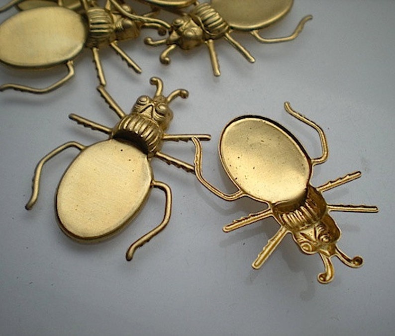 No 2 6 brass blister beetle charms