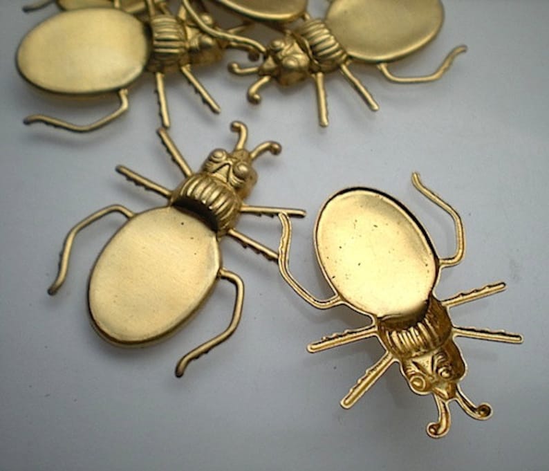 No 2 6 brass blister beetle charms