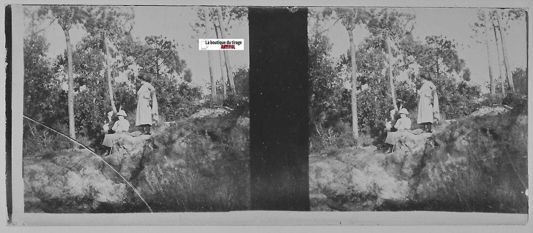 Plaque De Verre Stéréoscopique - Forêt De Fontainebleau - Photo Amateur Originale