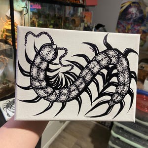 8x6” Centipede