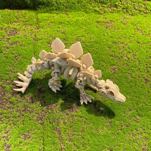 May include: A beige Stegosaurus skeleton model with prominent dorsal plates and a spiked tail. The dinosaur model is posed on a bed of green grass, showcasing its detailed skeletal structure. This decorative item is ideal for dinosaur enthusiasts.