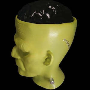 Frankenstein&#39;s Monster with Removable Brain