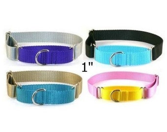 1 inch Designer Nylon greyhound martingale dog collar, buckle martingale 1 inch-Pick your favorite colors