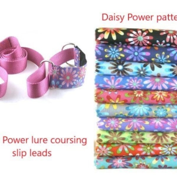 Lure Coursing Slip Lead, Fast CAT, Tally Ho, 1.5 inch, 2 inch, Daisy Power, flowers, floral, bright, colorful, circles-You Pick Your Pattern