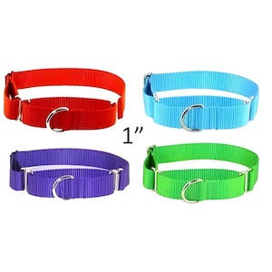 1 inch Nylon Martingale dog collar, buckle martingale 1 inch, greyhound martingale, black, brown, green, pink, red, teal, blue