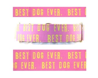 Best Dog Ever Pink greyhound martingale dog collar - 1", 1.5", 2", Buckle Martingale, Side Release collar, Tag collar, 5 ft or 6 ft leash