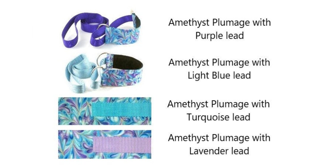 Lure Coursing Slip Lead, Fast CAT, Tally Ho, 1.5 Inch, 2 Inch, Amethyst Plumage, Blue, Purple