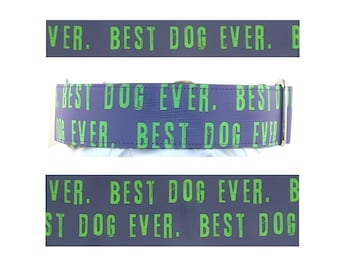 Collier violet Best Dog Ever - Collier martingale pour chien - Collier martingale à boucle - Collier pour chien à dégagement latéral - Collier pour plaque - Laisse pour chien