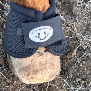 Horse Bell Boots Large