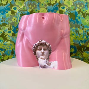 May include: A pink, torso-shaped planter with a glossy finish. A small, white bust of David is placed in front of the planter. The background features a floral pattern in shades of green and blue.