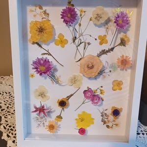 Pressed Flower Frame; dried flowers, handmade, wall decor, pressed flower frame, pressed flowers, framed dried flowers, pressed plant frame