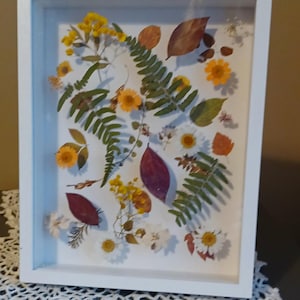 Pressed Flower Frame; dried flowers, handmade, wall decor, pressed flower frame, pressed flowers, framed dried flowers, pressed plant frame