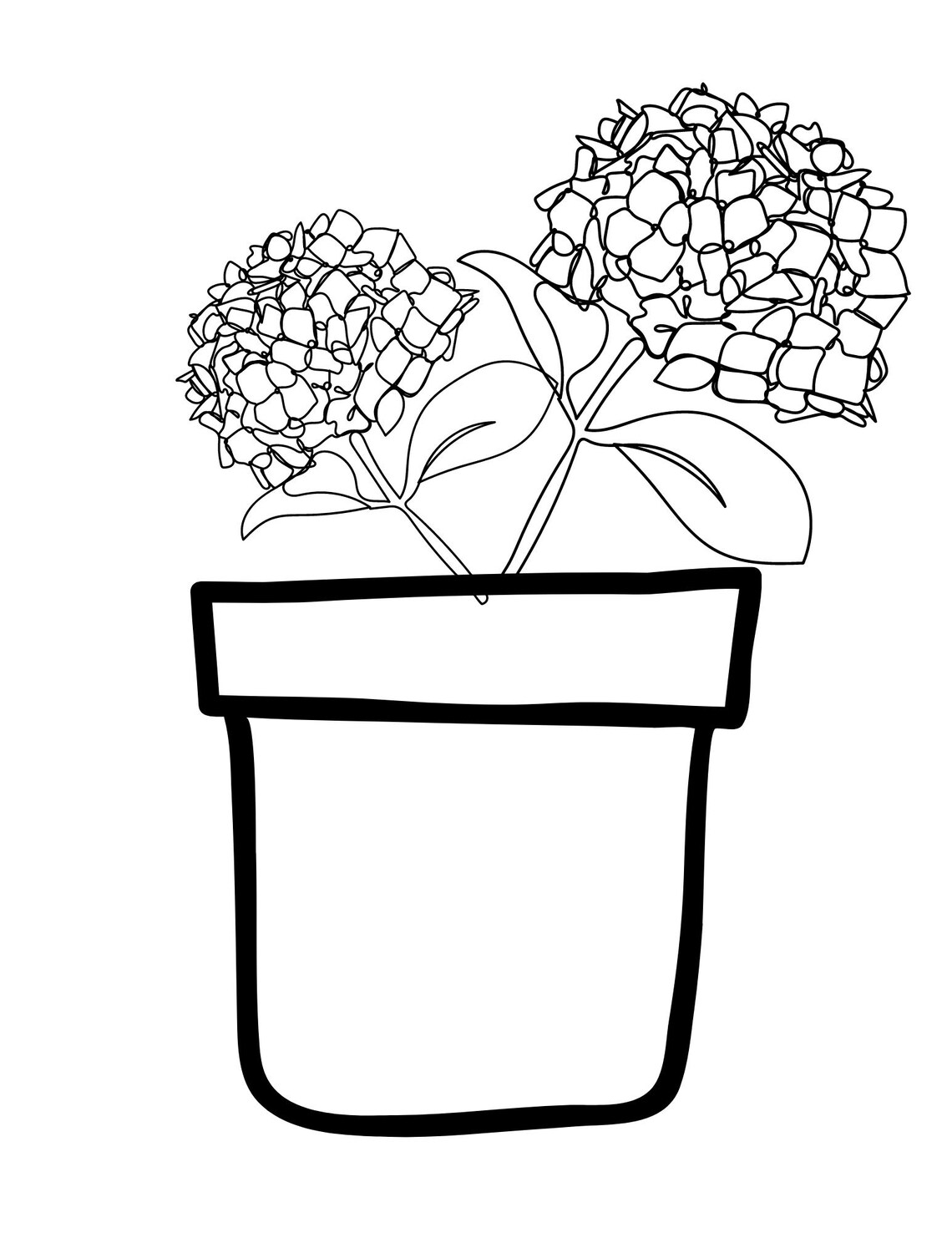 Flower Coloring Sheets- Printable or Editable - Etsy