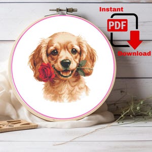 May include: A cross stitch pattern featuring a golden-brown puppy holding a bright red rose in its mouth. The design is displayed within a circular wooden embroidery hoop. The image includes the red text Instant PDF Download with an arrow icon.