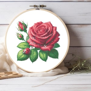 Op de afbeelding: Een rode roos met dauwdruppels en een lieveheersbeestje op een groen blad. De roos is in een witte borduurring.