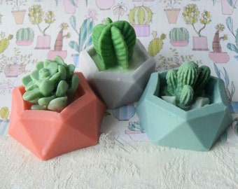 Cactus Minis with Aloe Soap  Set of Three