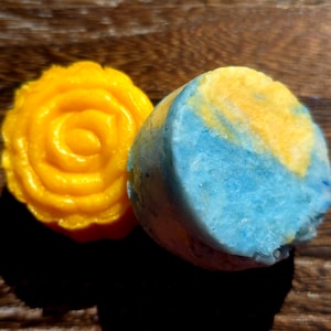 Mini Shampoo & Conditioner Bar -Travel Friendly, RV, gym bag, TSA approved Shampoo and Conditioner, Eco-friendly, plastic free, sulfate free