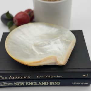 May include: A large, iridescent mother-of-pearl shell dish with a smooth, glossy interior and a natural, curved edge. The shell displays creamy white and soft golden hues, resting on top of two stacked hardcover books with black spines.