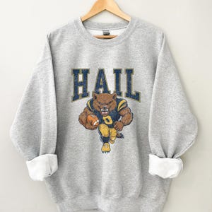 May include: Gray sweatshirt with a cartoon wolf wearing a football uniform and holding a football. The text "HAIL" is above the wolf.