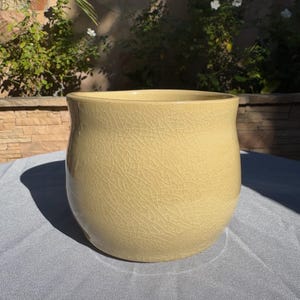 May include: A large, pale yellow ceramic planter with a crackled glaze. The planter has a rounded, slightly flared shape.