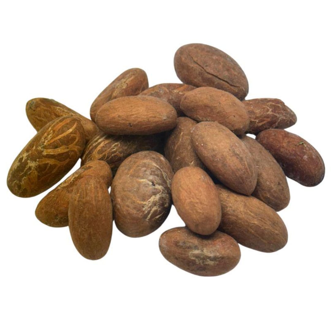 Noix De Cola Africaines Naturelles - Stimulant & Digestif 22 Pièces