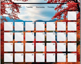 EDITABLE Monthly Calendar 2025 Bundle monday Starts, Cute Printable ...