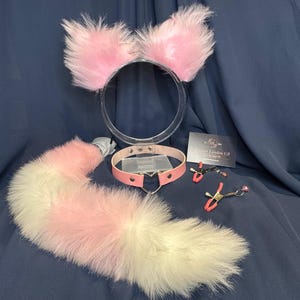 Può includere: Un set di orecchie da gatto in finta pelliccia rosa e bianca su una fascia trasparente, una coda abbinata, un collare in pelle rosa e pinze per capezzoli. Disposti su uno sfondo di tessuto blu scuro.