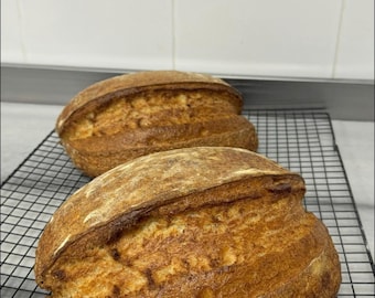 235+ Year Old Heritage Sourdough Starter (Natural Historic Sourdough Bread Yeast)