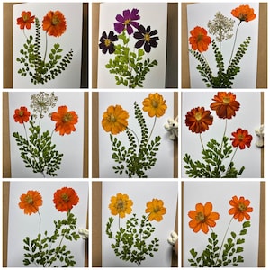 May include: Nine pressed flower art pieces featuring various arrangements of orange, yellow, and purple flowers with green fern-like foliage. Each piece is mounted on a white card, showcasing the natural colors and textures of the pressed botanicals.