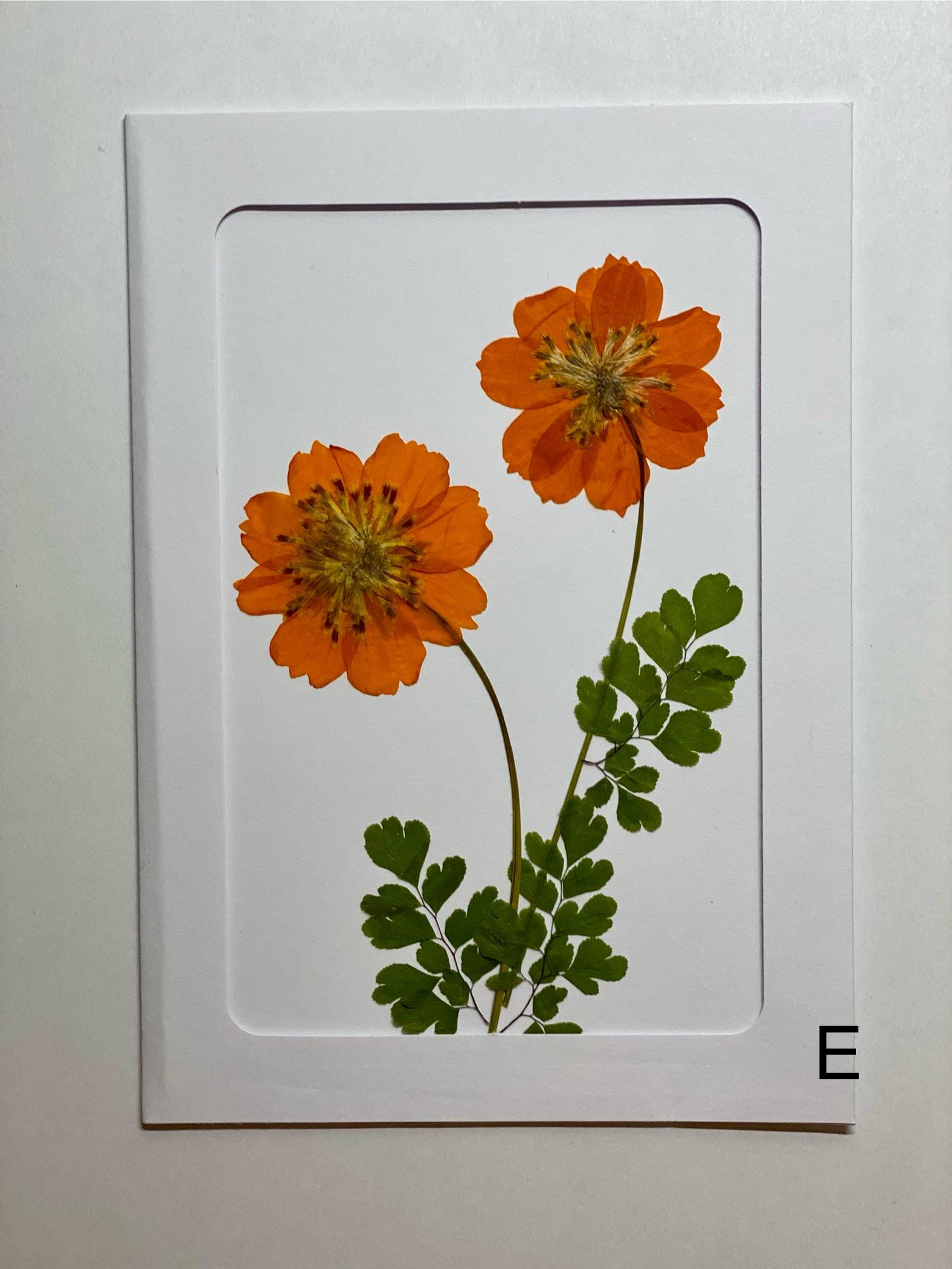 Handmade Pressed Flower Card, Botanical Art, Blank Note Card - Etsy