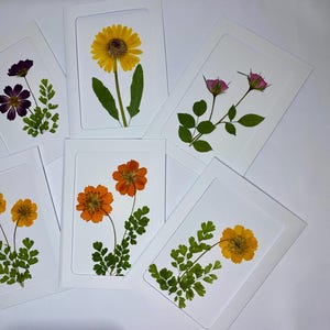 Botanical Card with Real Pressed Flowers, Pressed Flower Art, Handmade Flower Card, Blank Flower Card